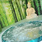 酒店 & Wellness Royal Astrid 3*